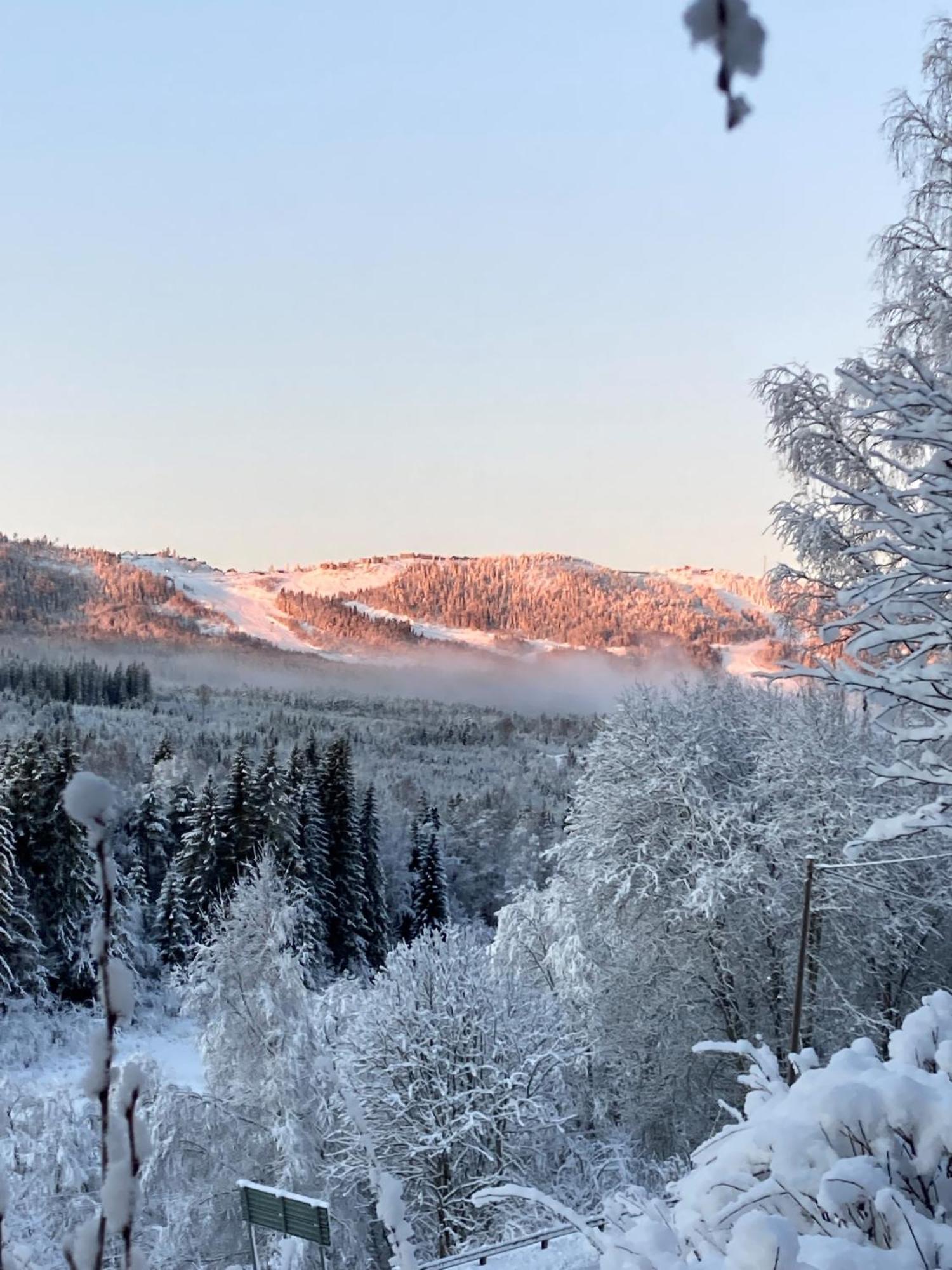 Charmig Villa Med Bastu Och Snabbt Wifi Långav Exteriör bild